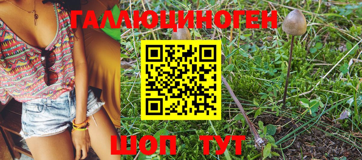 Псилоцибиновые грибы Psilocybine cubensis  Вход с VPN  Каменск-Шахтинский 