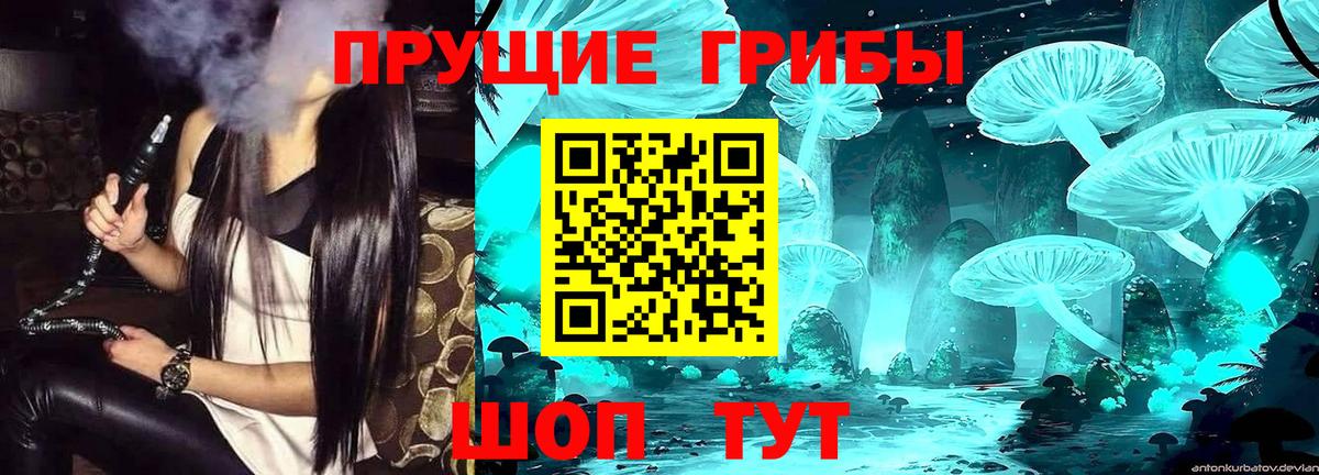 Псилоцибиновые грибы ЛСД Каменск-Шахтинский